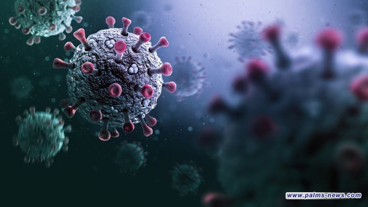 خبيرة في معهد باستور تحذّر: تحوّر إنفلونزا الطيور قد يقود إلى جائحة أشد من كورونا